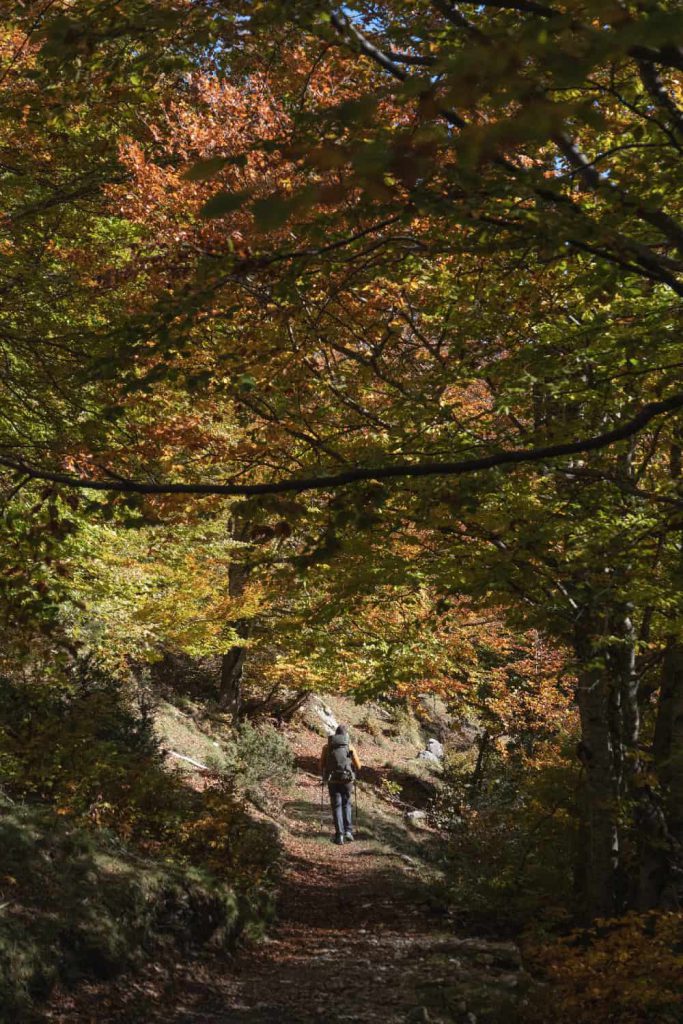 GRP Tour de la Barguillère